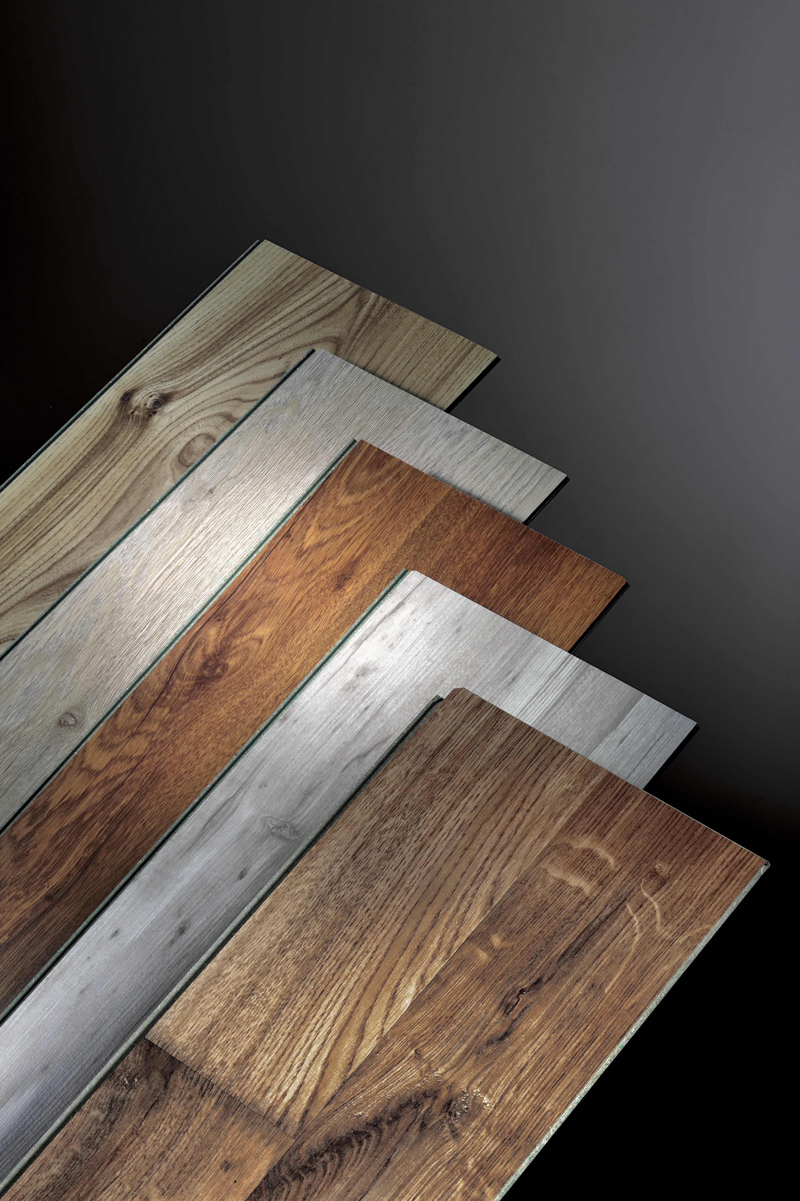 Custom Signage and Printing Solutions